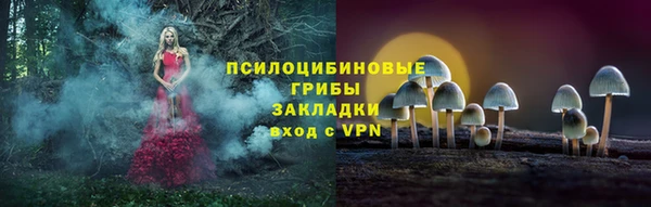 мет Осинники